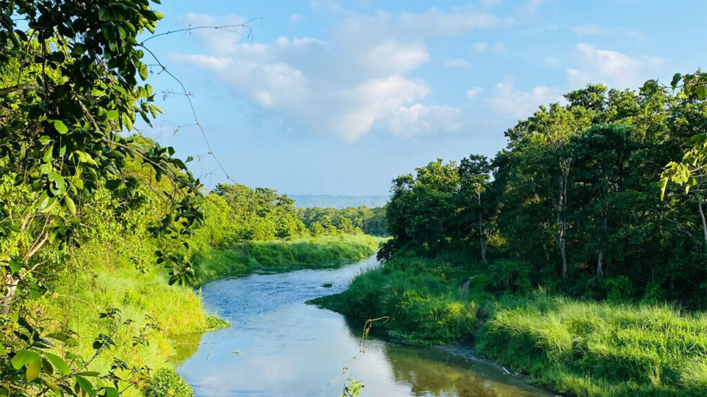 Chitwan Jungle Safari Tour