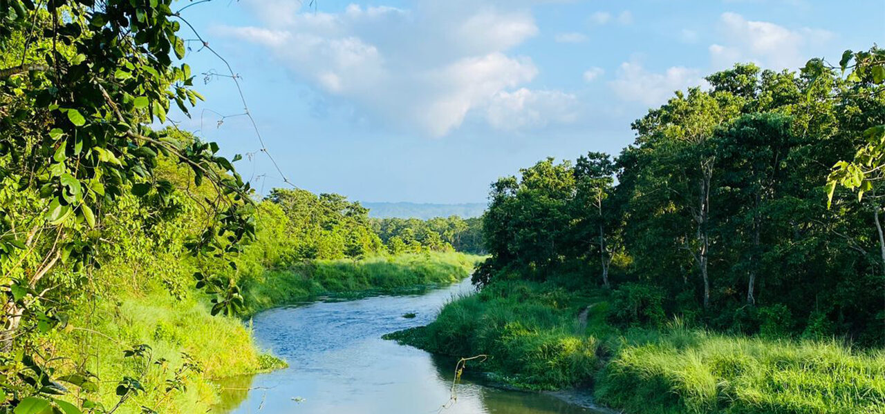 Chitwan Jungle Safari Tour