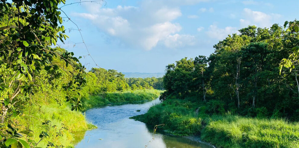 Chitwan Jungle Safari Tour