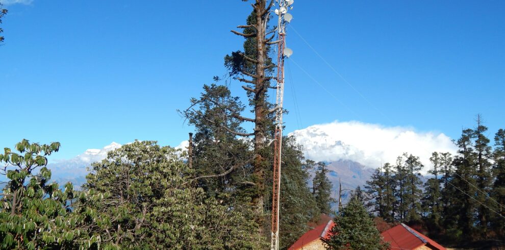 Mohare Danda Trek