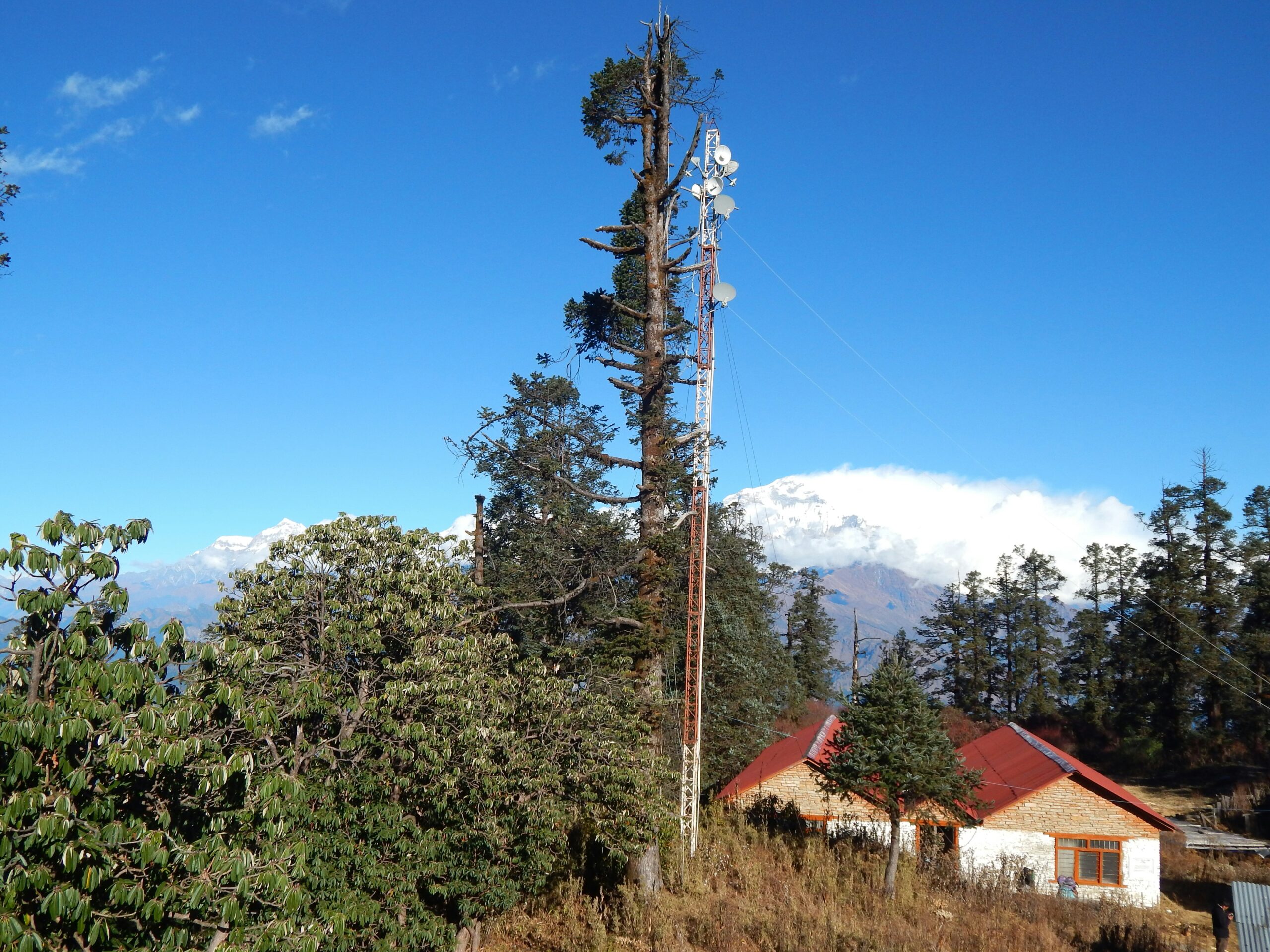 Mohare Danda Trek